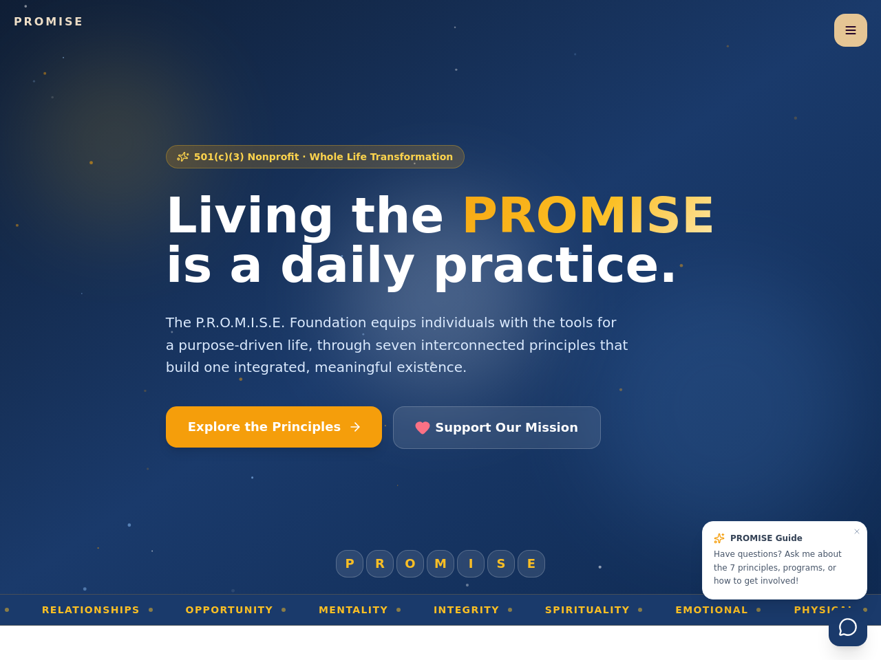 The Promise Foundation